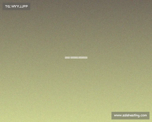 女排赛季 各项赛事安排;女排赛事安排表